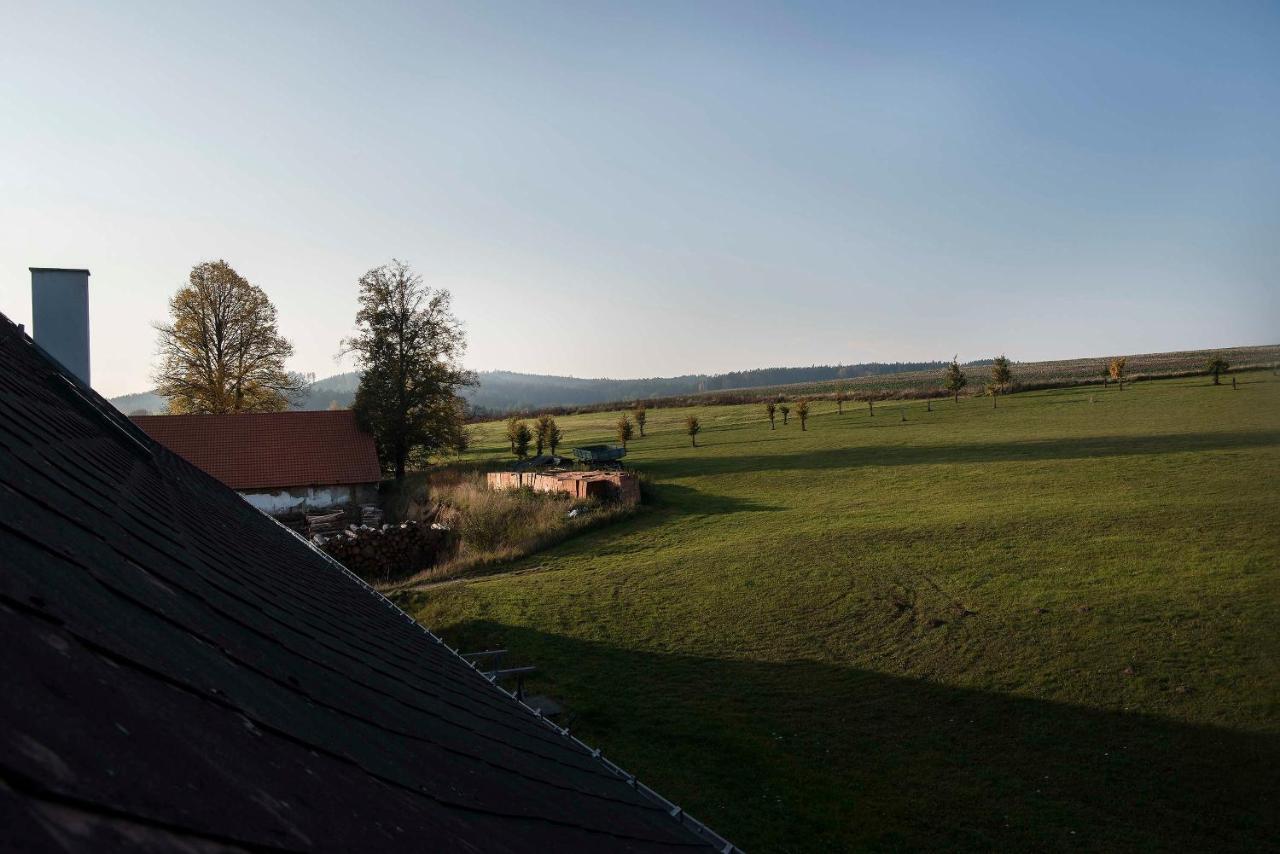 ホテル Zamek Liboun Louňovice pod Blaníkem エクステリア 写真